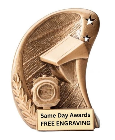 Budget Curve Swimming Trophy with free custom engraving
