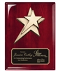 Rosewood Piano Premium Star Executive Recognition Plaque with Bronze Cast Star and Black Brass Engraving Plate