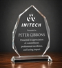 Same Day Shipping Apex Crystal Trophy custom engraved optical crystal recognition award