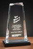 9 inch Clear Gem Acrylic Award Trophy with Black Base custom engraved executive recognition award