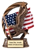 Same Day Shipping Flying Eagle Patriotic Trophy with American Flag and Custom Engraving