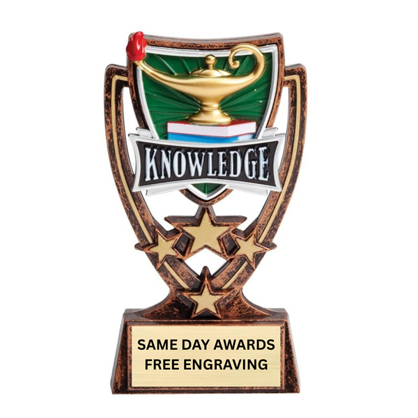 6 inch lamp of knowledge trophy with engraved plate and academic design