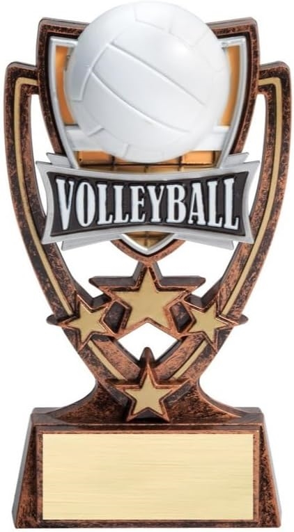 6 Inch Volleyball Trophy with free custom engraving for volleyball teams tournaments and participation awards