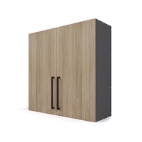 Hybrid Wall 2 Door