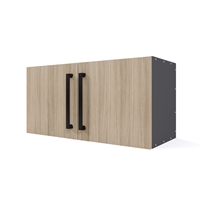 Hybrid Wall Bridge 2 Door