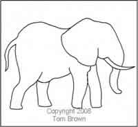 Digital Quilting Design Elephant by Tom Brown.