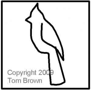 Digital Quilting Design Leslie's Bird 6 by Tom Brown.
