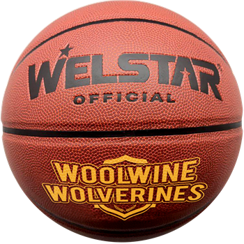 Full Size Synthetic Leather Basketballs - Pad Printed