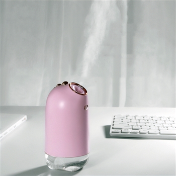 Mini House Humidifier