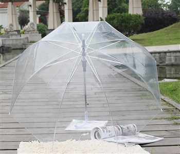 Custom Transparent Umbrella