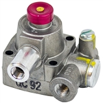 Robertshaw Replacement Safety Magnet Head