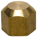 Brass Sealing Cap Nut