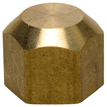 Brass Sealing Cap Nut