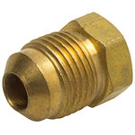 Brass Sealing Plug