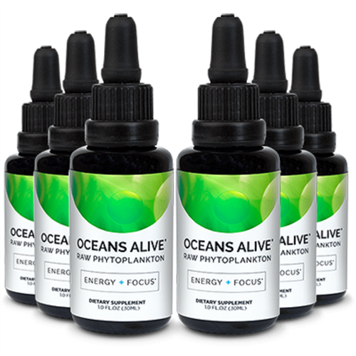 Oceans Alive Marine Phytoplankton 6 PACK (6 x 30 ml Bottles) - Activation