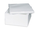 Insulated Container (MEDIUM SIZE) - Please see details for what this container can hold