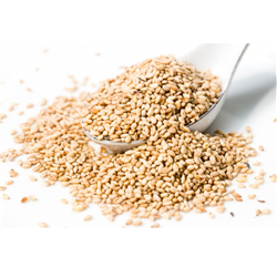 Sesame Seeds - 1 lb. (Organic, Raw) - Upaya Natuals