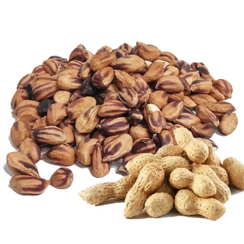 Wild Jungle Peanuts 8 oz. bag (raw, organic) - Upaya Naturals