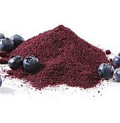 Organic Blueberry Juice Powder - 4oz/113g -