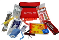 Survival Mini Kit