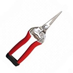 Terrebonne Stainless Straight Shear TBL803-S