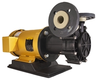 GemmeCotti HTT 9000 PP 3-Phase Motor Magdrive Turbine Pump