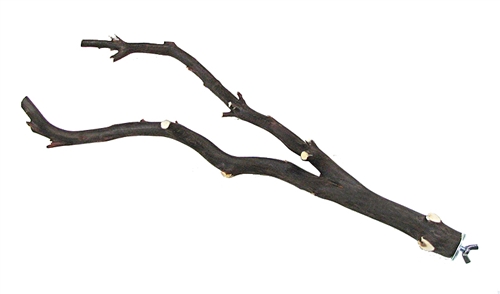 Manzanita Bird Perch,  Multi-Branch 12 inch