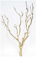 Sandblasted Cholla Tree, 32"-36"