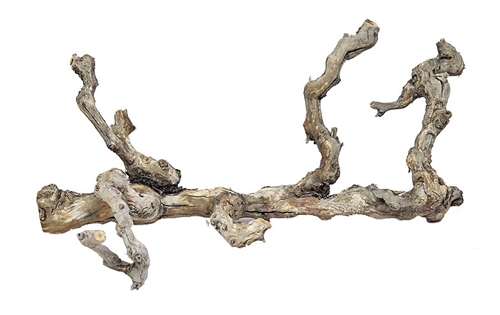 Natural Grapevine, 24"