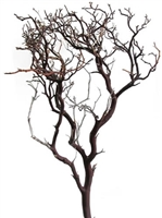 Standard Manzanita Branch, 24" Tall