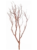 Chaparral Manzanita Branch, 18" Tall