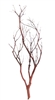 Chaparral Manzanita Branch, 24" Tall