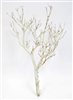 Sandblasted Manzanita Branches 18" tall