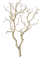 Sandblasted Manzanita Branches, 24" tall