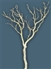 Sandblasted Manzanita Branches, 48" tall