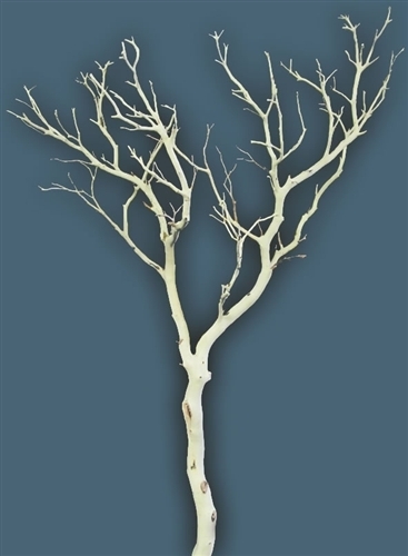 Sandblasted Manzanita Branches, 48" tall