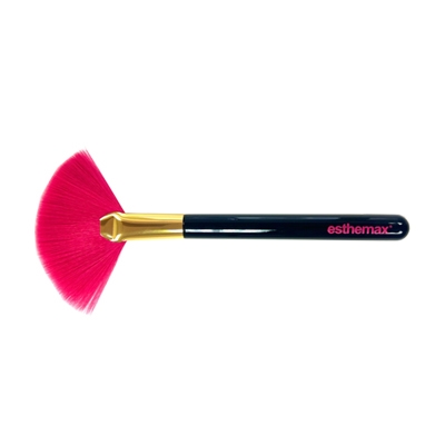 VOLUME FAN BRUSH