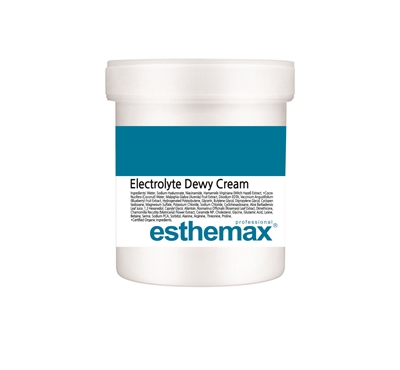 [SET] ELECTROLYTE DEWY CREAM