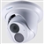 Eyeball IP Dome Camera