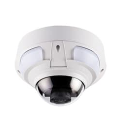 Arctic Weather IP Dome Camera