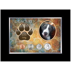 Personalized-Rescued Year To Remember Dog 4 Coin Frame