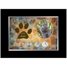 Personalized-Rescued Year To Remember Cat 4 Coin Frame