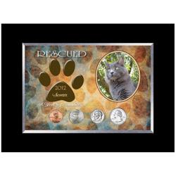 Personalized-Rescued Year To Remember Cat 4 Coin Frame