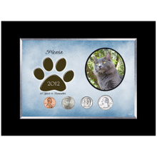 Personalized Cat Frame Year To Remember