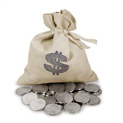 Jefferson Nickel Bankers Bag Beginner Coin Set