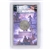 1776-2026 Liberty Semiquincentennial Half Dollar Graded MS65 Brilliant Uncirculated First Strike by AACGS