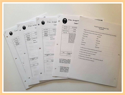 Seventh Grade Individual Lesson Plans