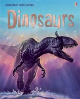 KINDERGARTEN: Dinosaurs: Prehistory (used book)