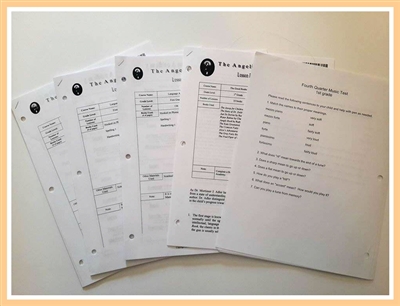 Eighth Grade Individual Lesson Plans