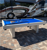1000 Series Outdoor Pool Table